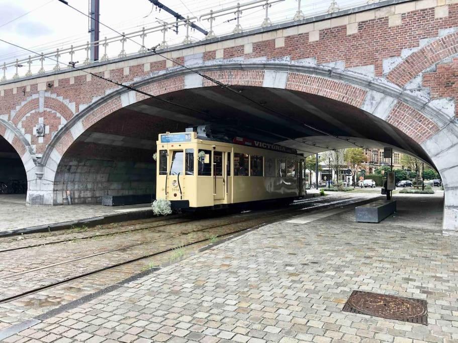 Cozy Antwerp - Zurenborg Skyline Exteriör bild