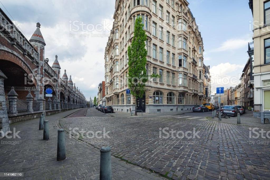 Cozy Antwerp - Zurenborg Skyline Exteriör bild